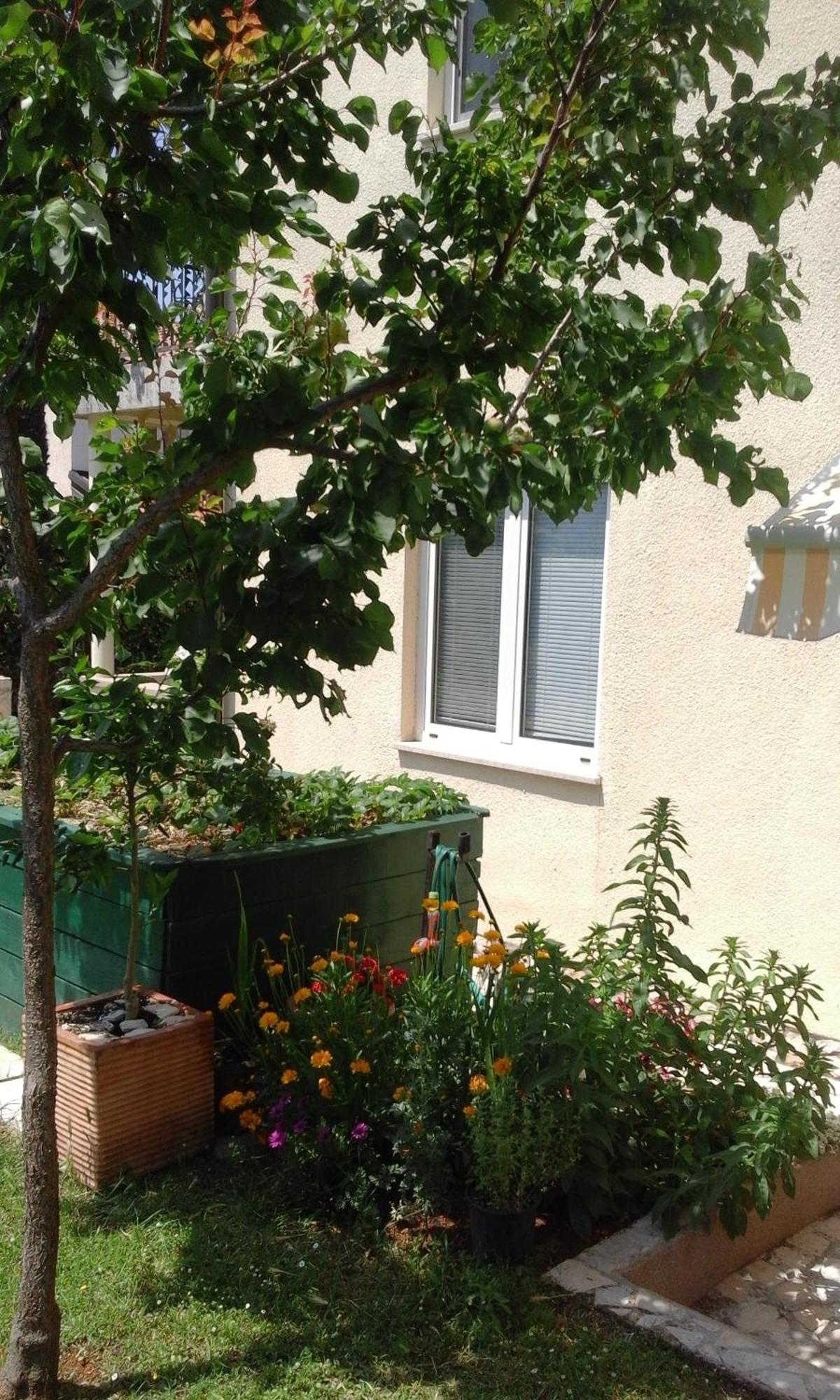 Apartment Laura Poreč Dış mekan fotoğraf